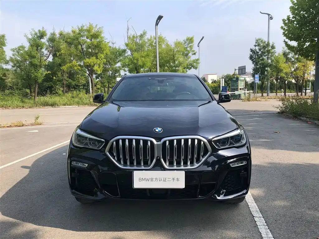 BMW X6 — миниатюра 2
