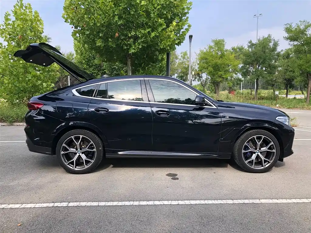 BMW X6 — миниатюра 5