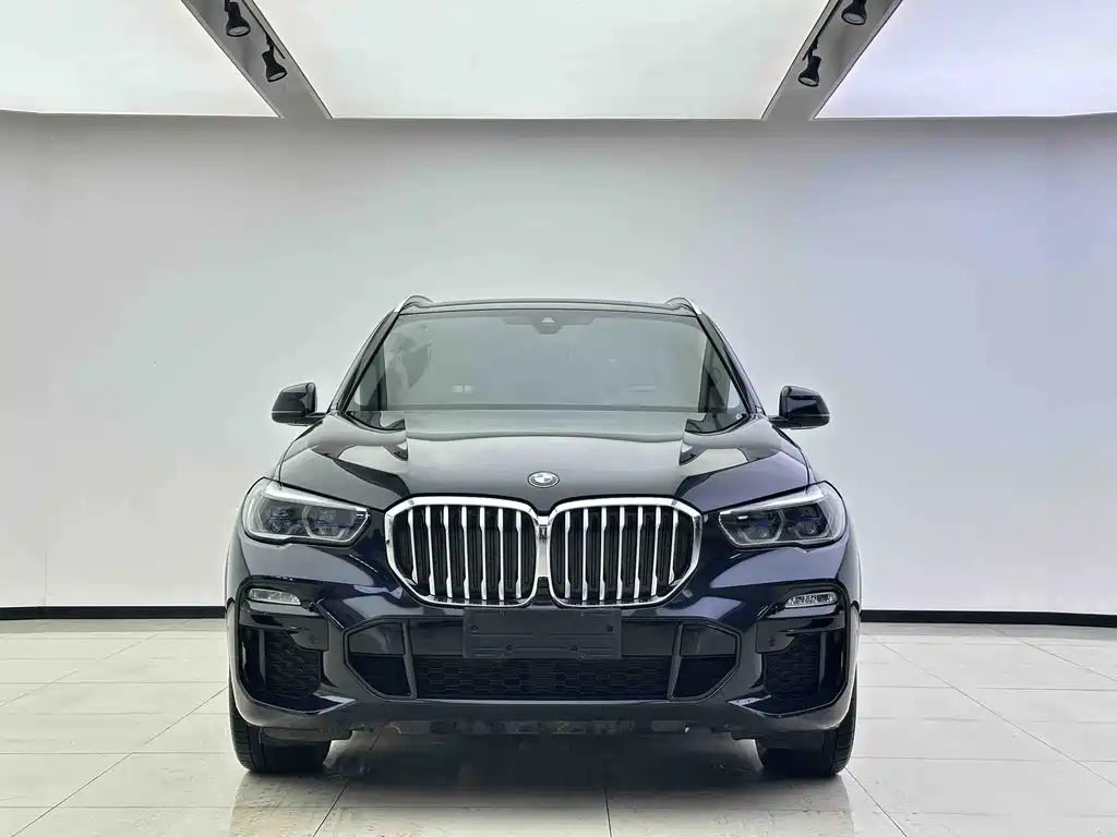 BMW X5 (Import) — миниатюра 2