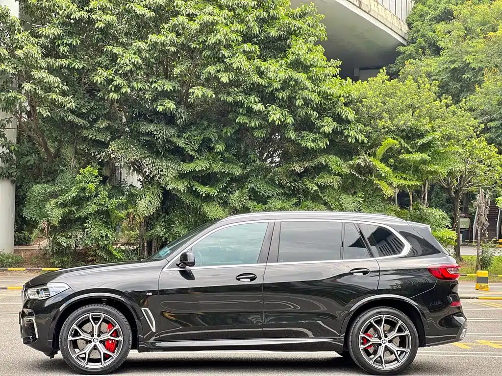 BMW X5 — миниатюра 2