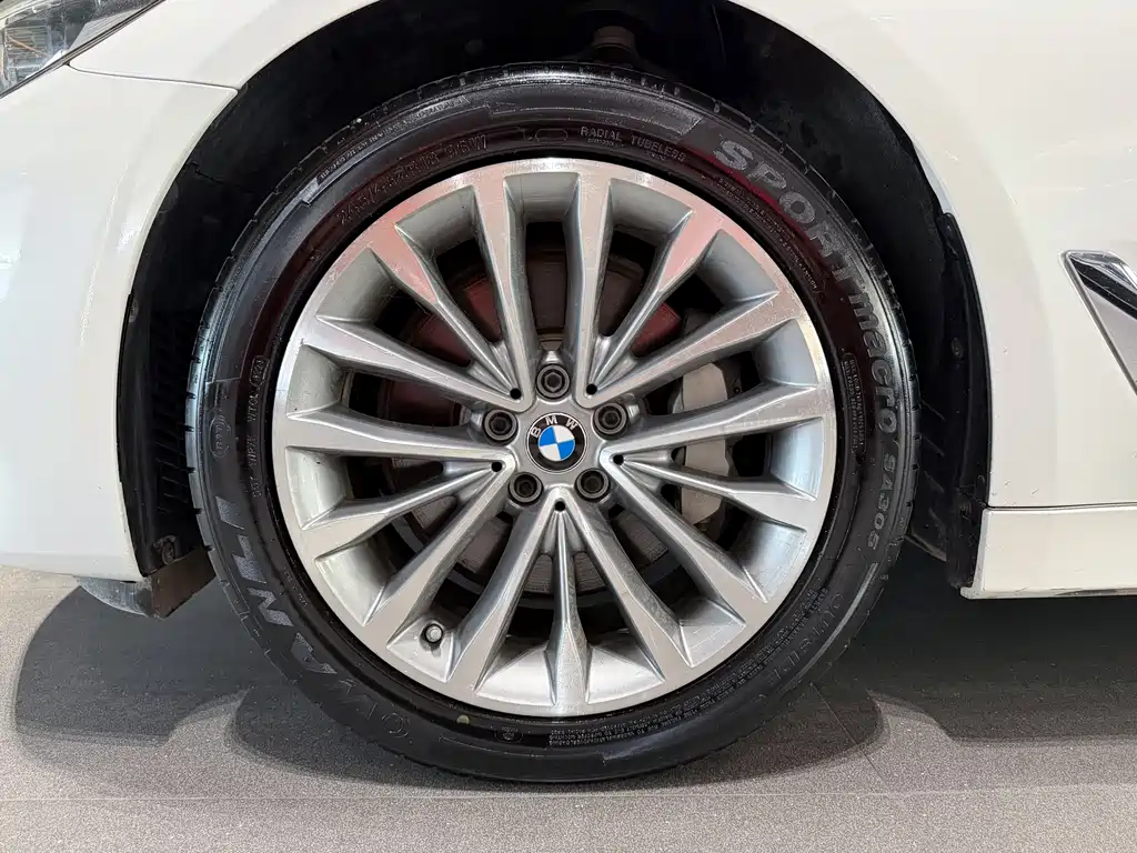 BMW 5 Series 5 2020 530Li xDrive Luxury