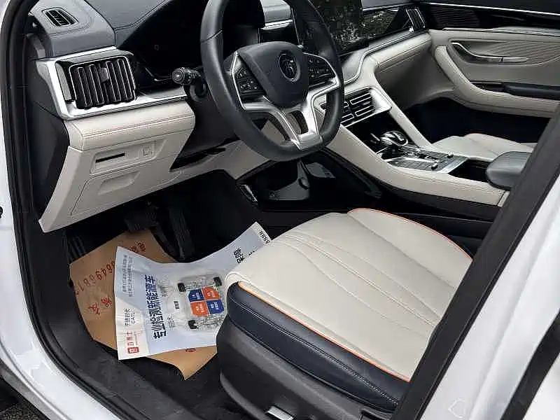 BYD PLUS New Energy — миниатюра 4