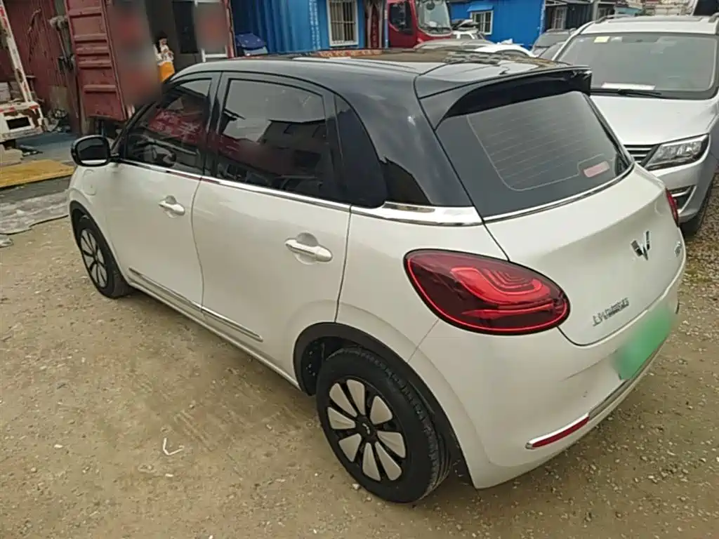 Wuling Binguo 2023 333km Enjoy