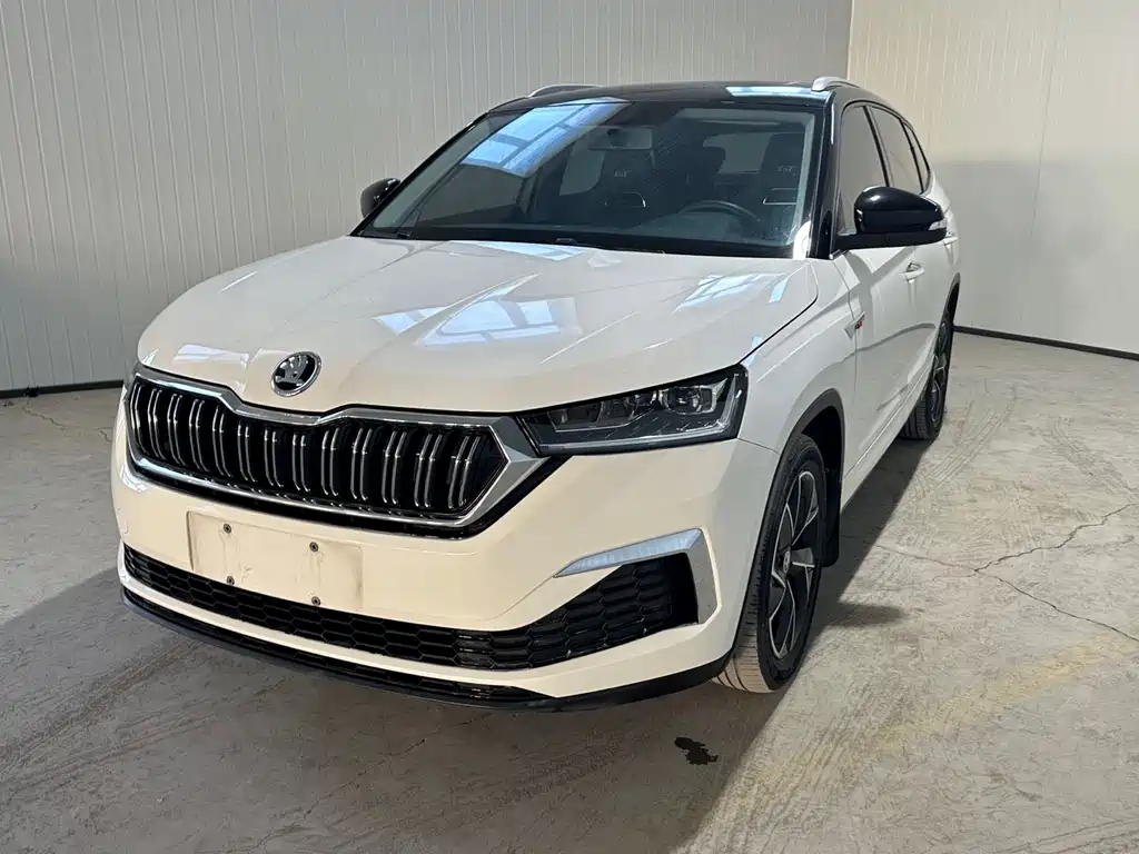 Skoda Kamiq 2022