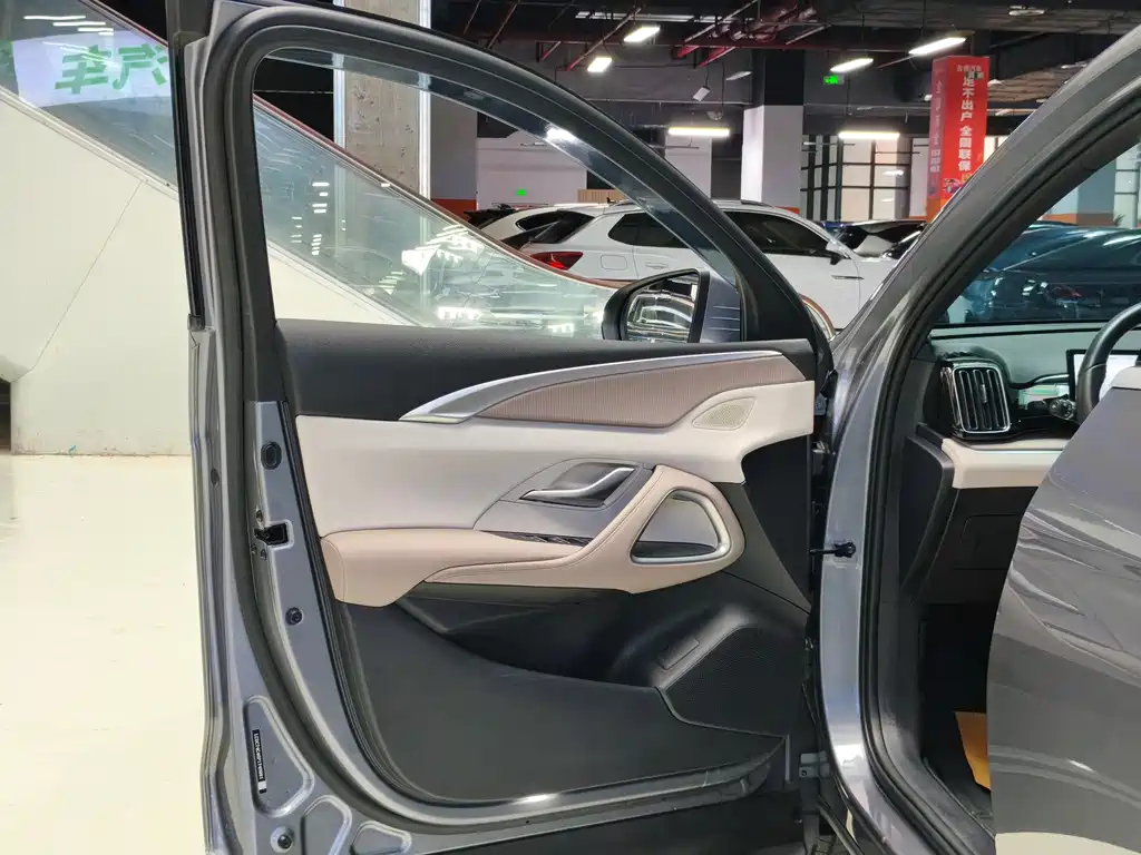 BYD Pro New Energy — миниатюра 8