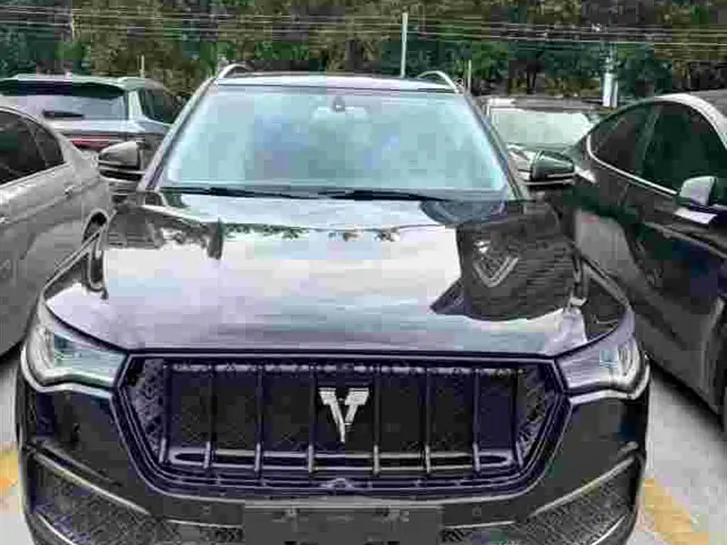Zotye Zotye T700