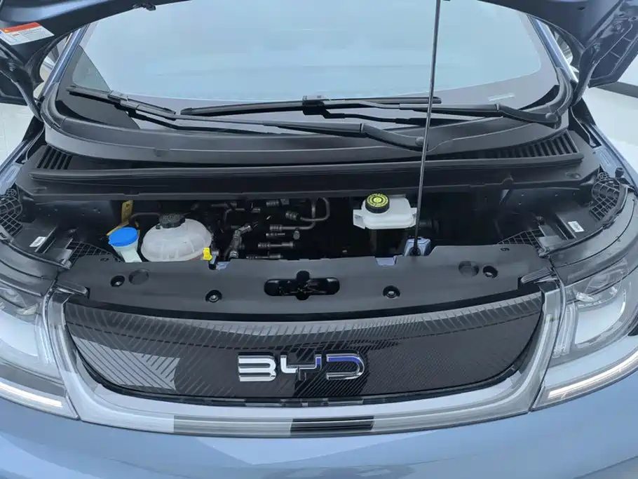 BYD Dolphin — миниатюра 10