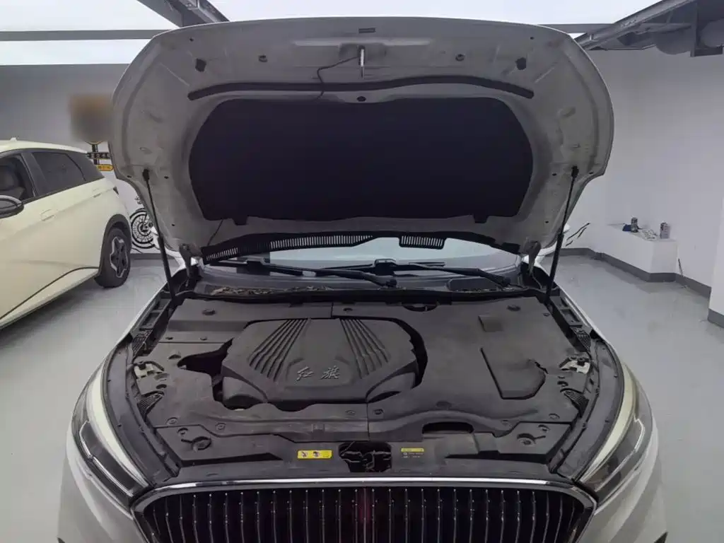 Hongqi Hongqi H5 — миниатюра 20