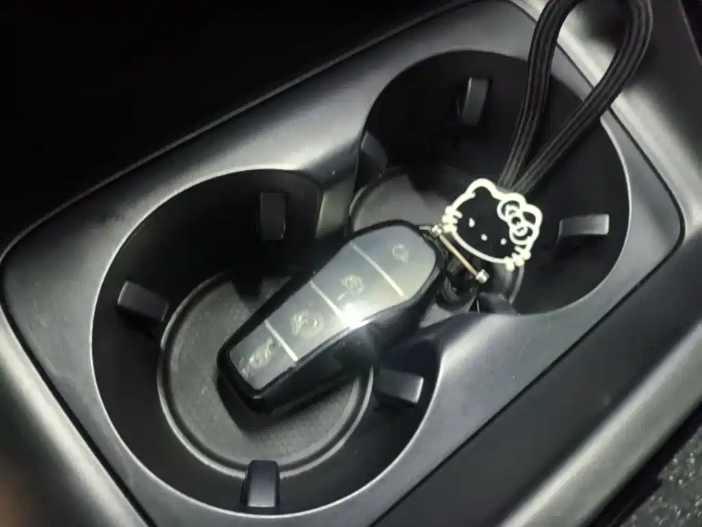BYD Qin PLUS — миниатюра 9