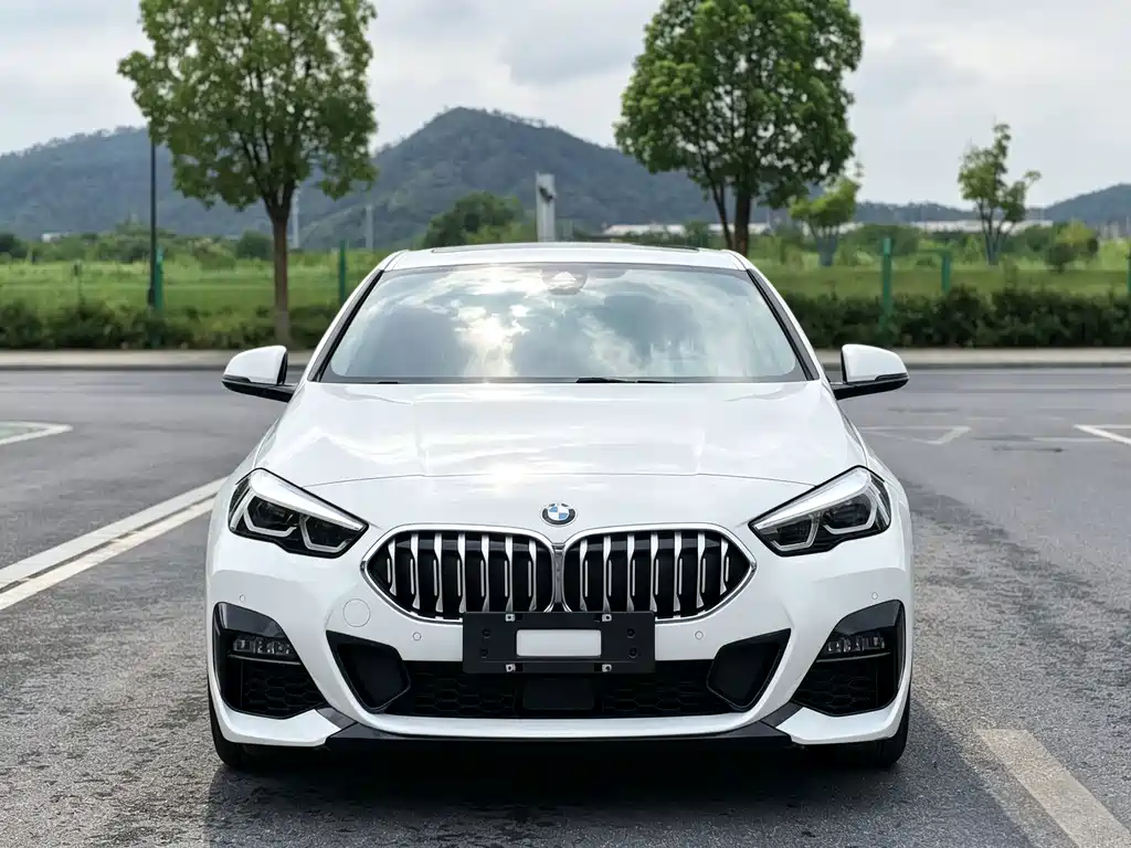 BMW 2 Series (Import) — миниатюра 2