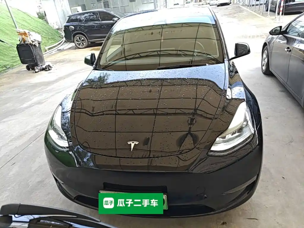 Tesla Model Y — миниатюра 3