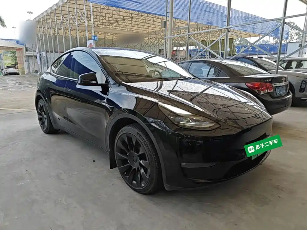 Tesla Model Y — миниатюра 4