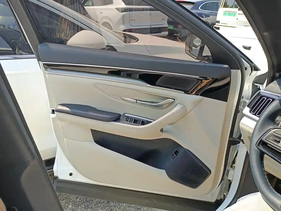 BYD PLUS New Energy — миниатюра 7