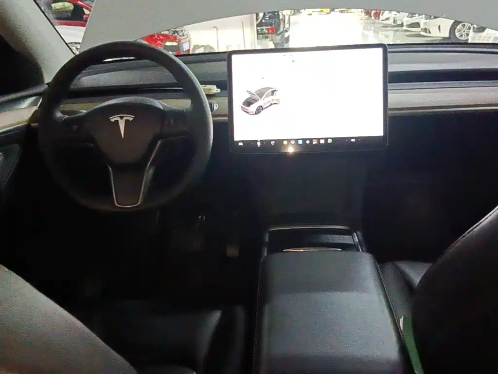 Tesla Model Y — миниатюра 10