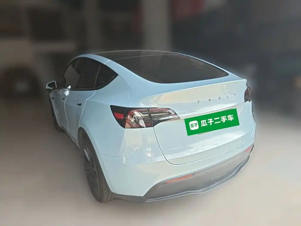 Tesla Model Y — миниатюра 7