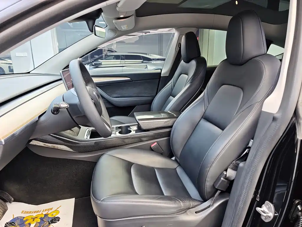 Tesla Model Y — миниатюра 6