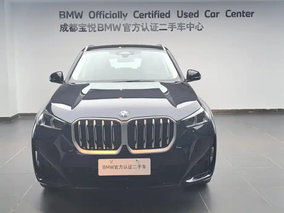 BMW X1 — миниатюра 2