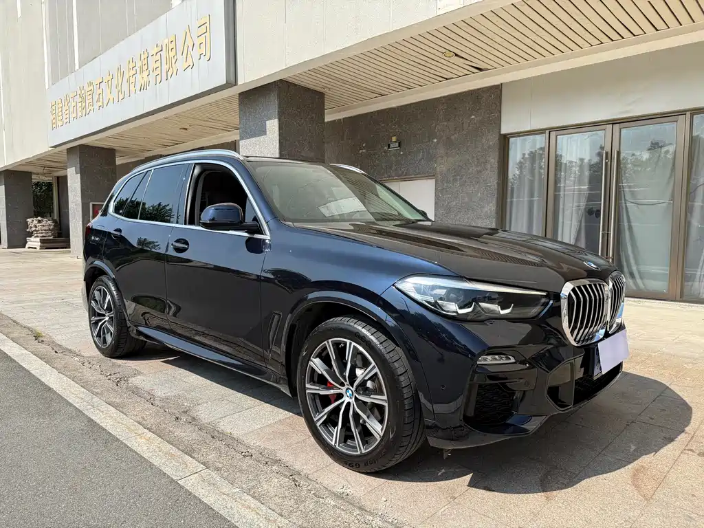 BMW X5 (Import) — миниатюра 3