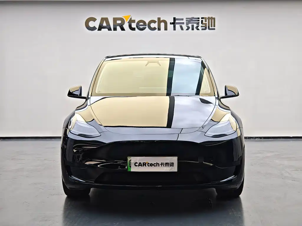 Tesla Model Y — миниатюра 2