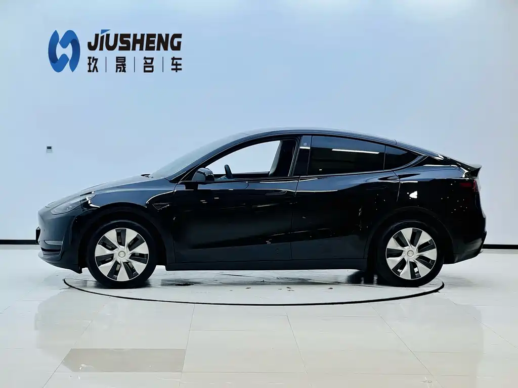 Tesla Model Y — миниатюра 3