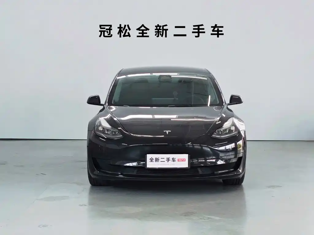 Tesla Model 3 — миниатюра 2