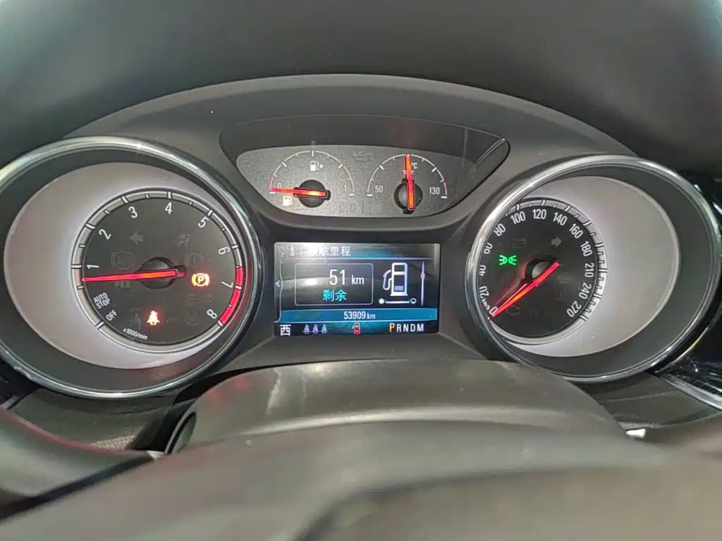 Buick Regal — миниатюра 12