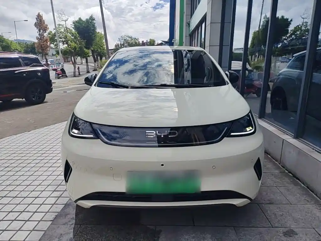 BYD Dolphin — миниатюра 3