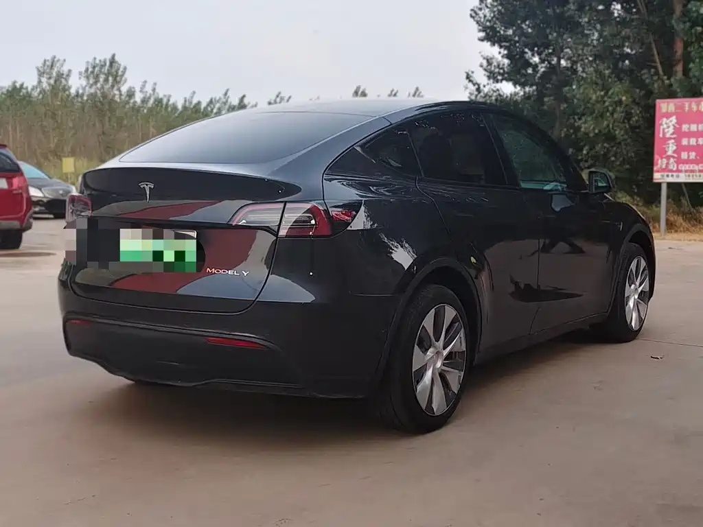 Tesla Model Y — миниатюра 2