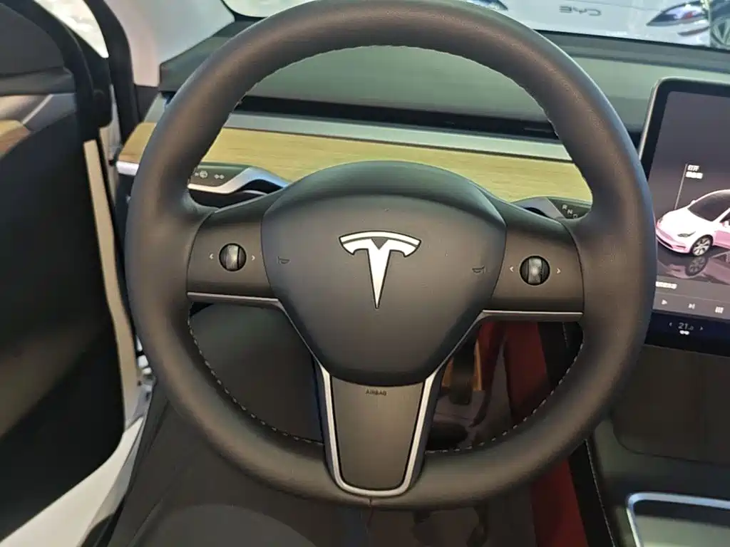 Tesla Model Y — миниатюра 11