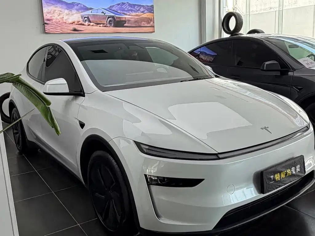 Tesla Model Y — миниатюра 3