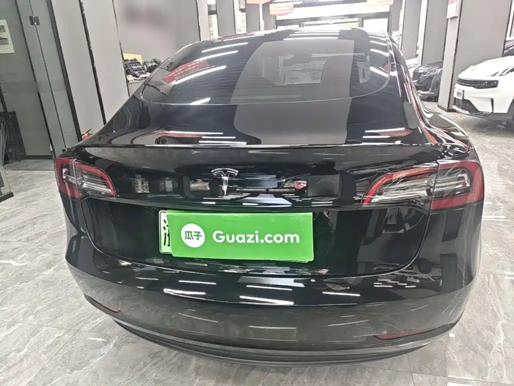 Tesla Model 3 — миниатюра 6
