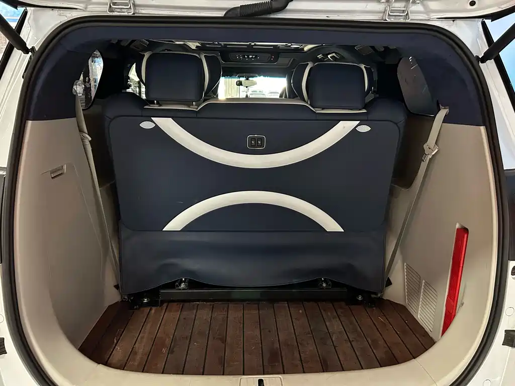 Buick GL8 — миниатюра 15