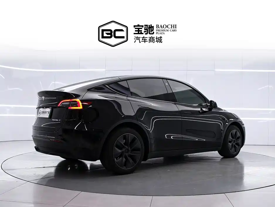 Tesla Model Y — миниатюра 3