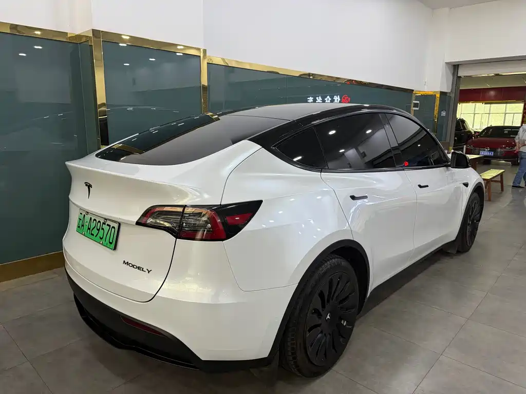 Tesla Model Y — миниатюра 11