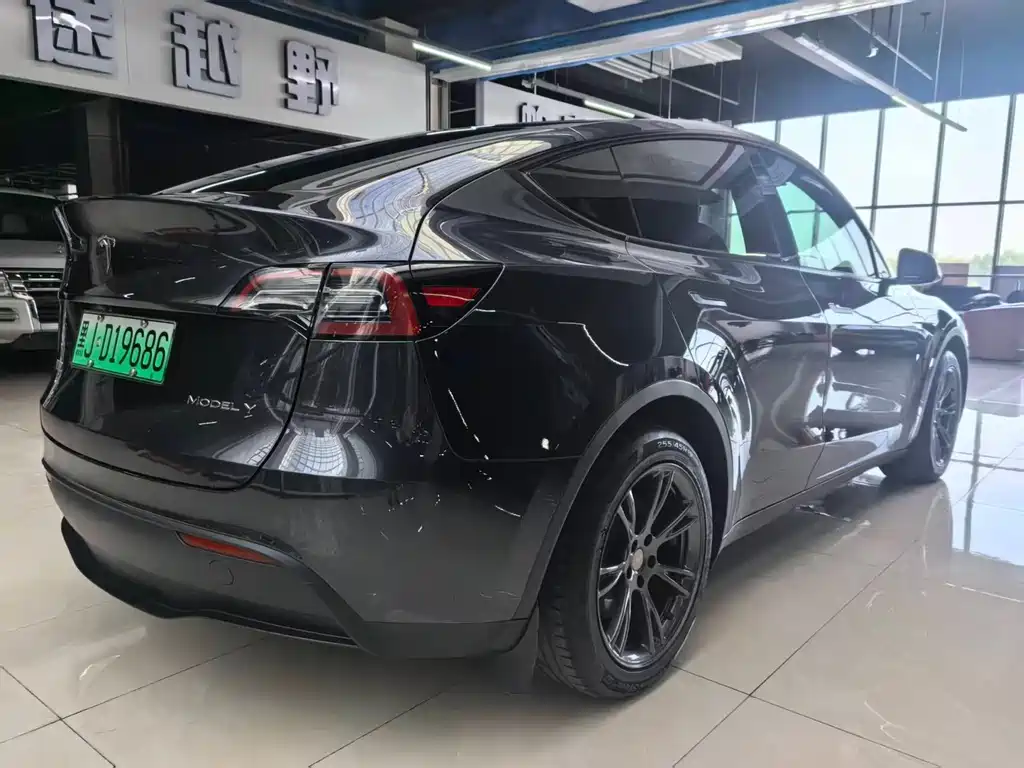 Tesla Model Y — миниатюра 4