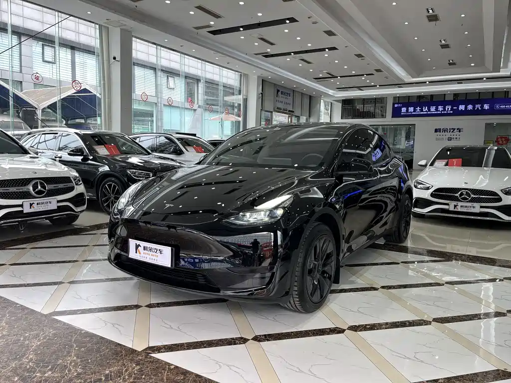 Tesla Model Y — миниатюра 2