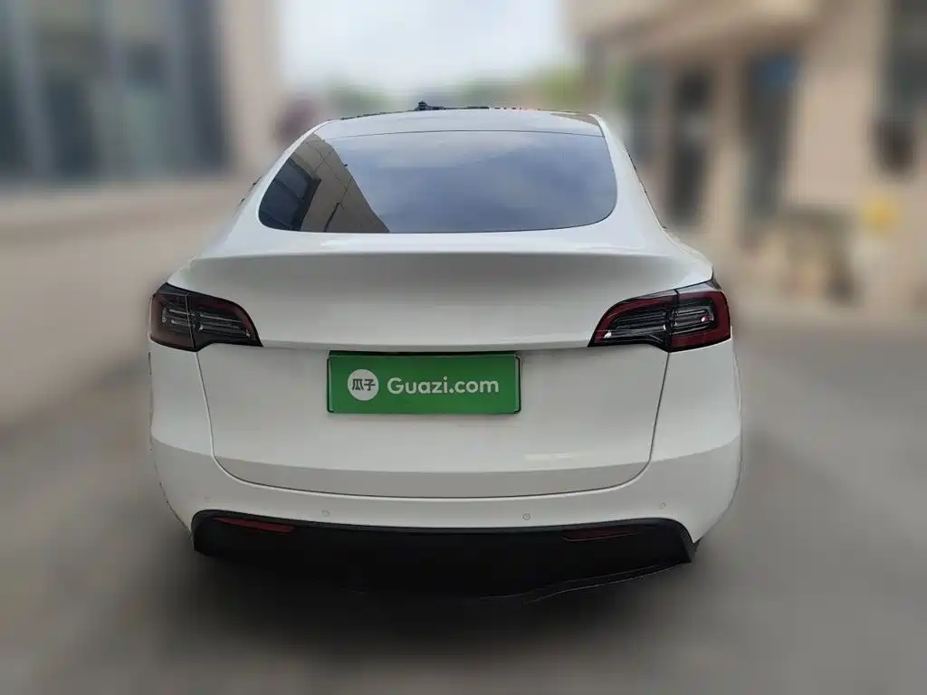 Tesla Model Y — миниатюра 3