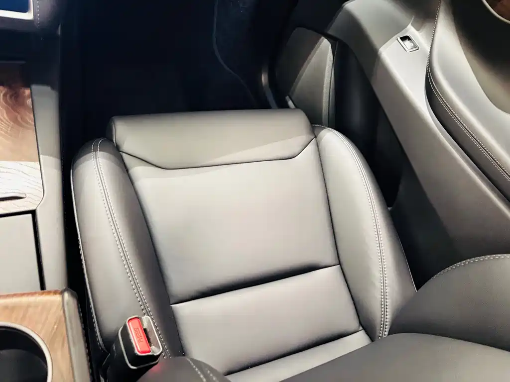 Tesla Model X — миниатюра 9
