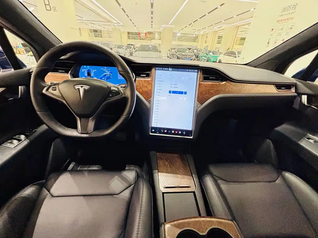 Tesla Model X — миниатюра 10
