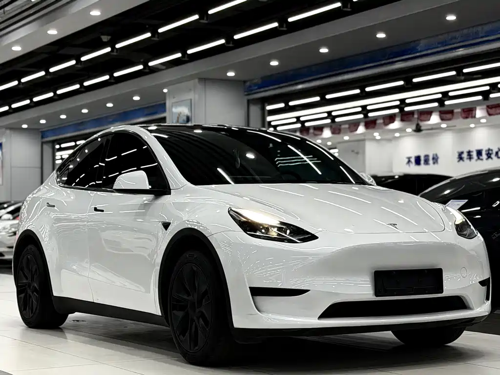 Tesla Model Y — миниатюра 3