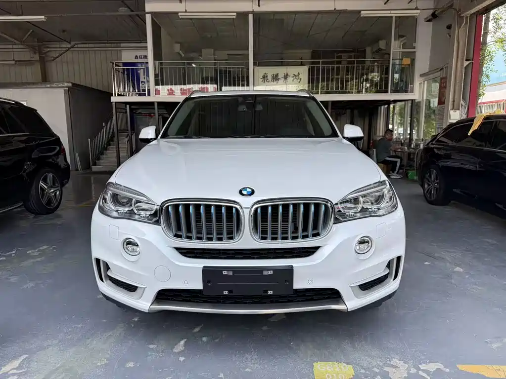 BMW X5 New Energy (Import) — миниатюра 2