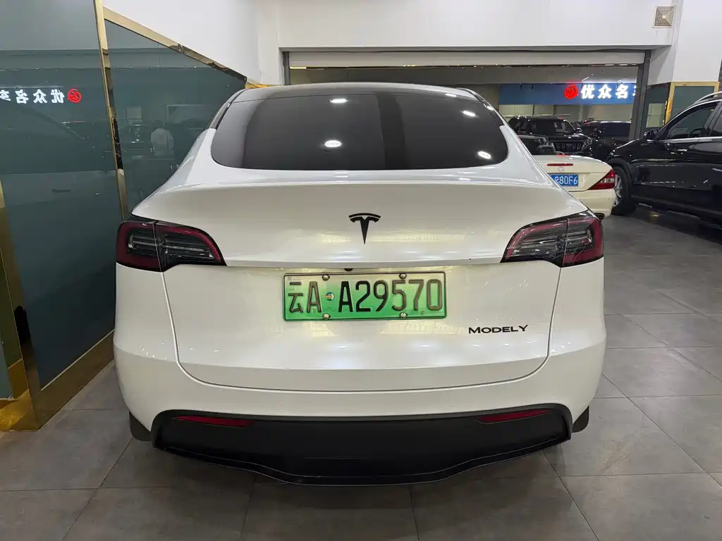 Tesla Model Y — миниатюра 12