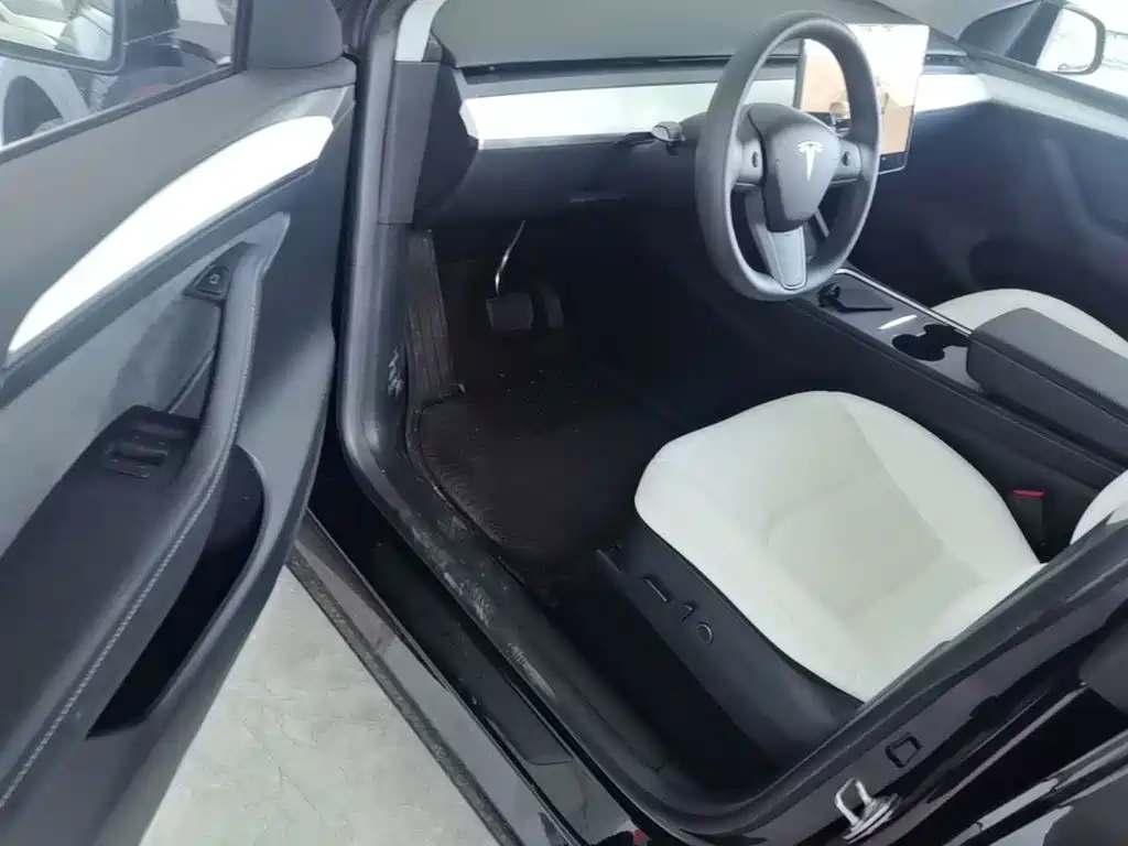 Tesla Model Y — миниатюра 15