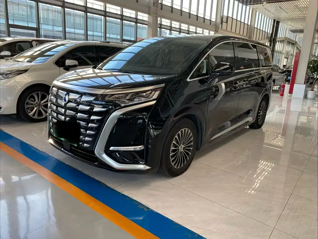 Denza Denza D9 — миниатюра 2