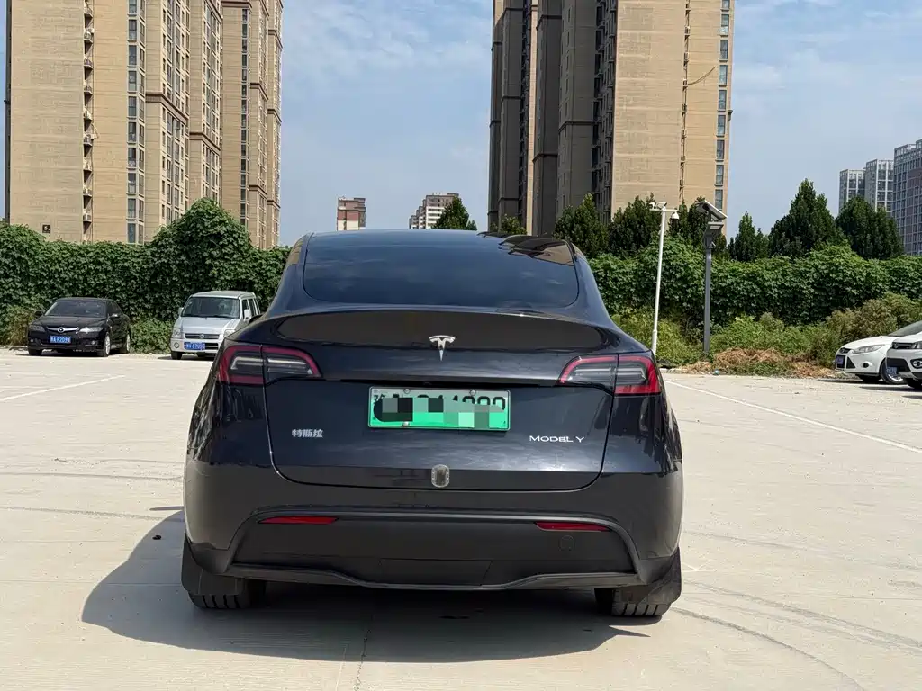 Tesla Model Y — миниатюра 5