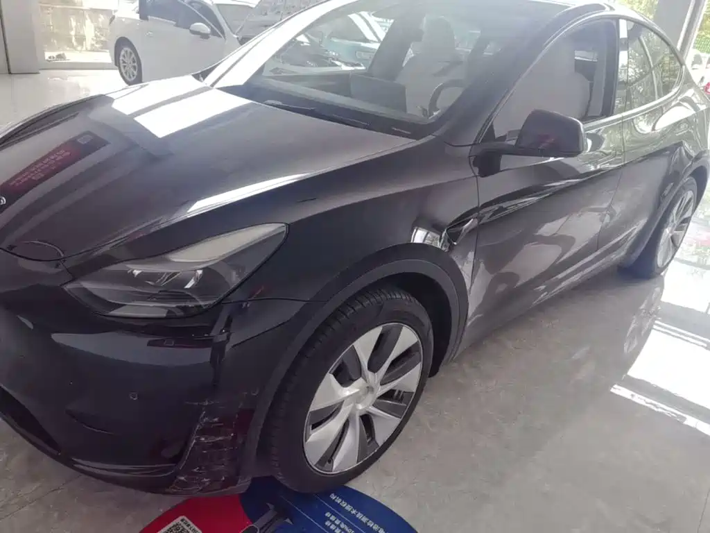 Tesla Model Y — миниатюра 2