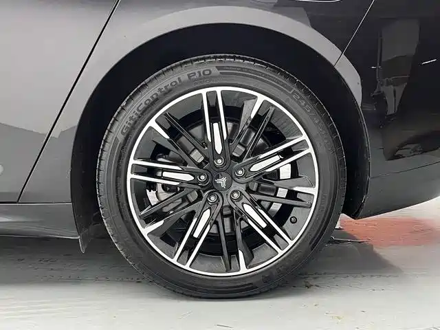 Neta Neta S — миниатюра 12
