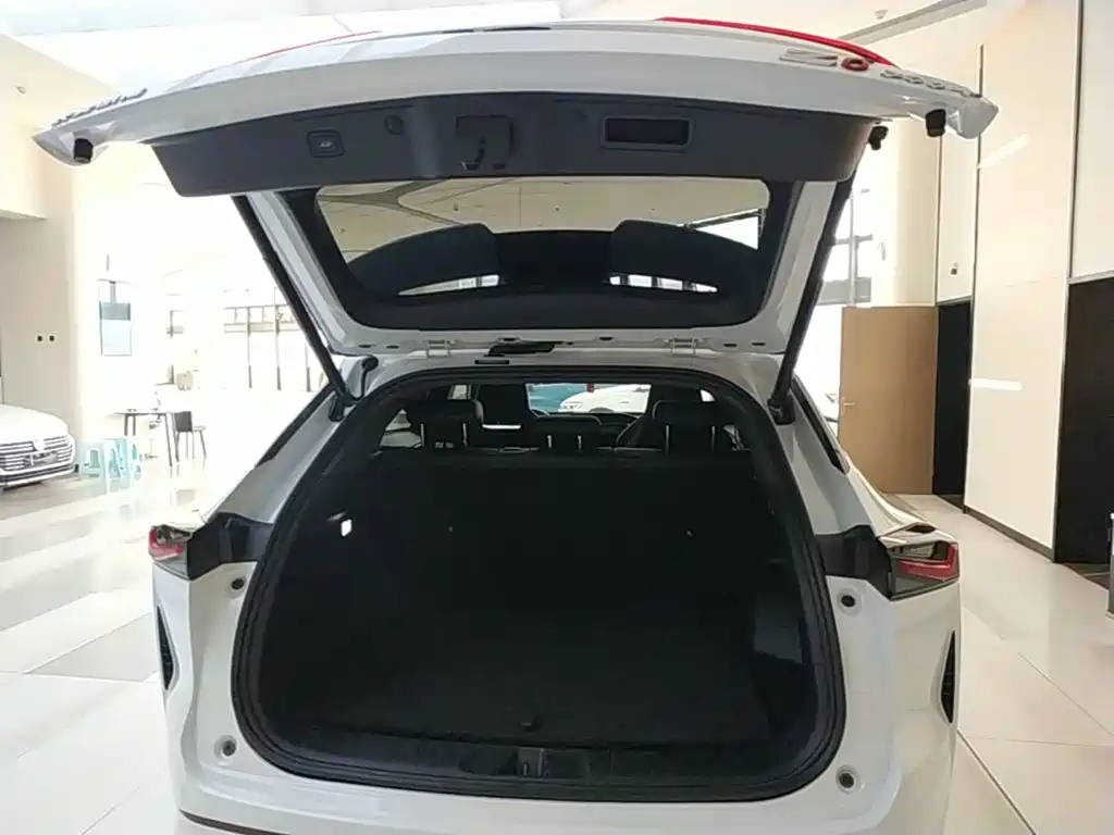 Oshan Oushang Z6 — миниатюра 19