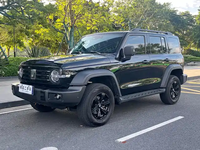 2025 TANK 300