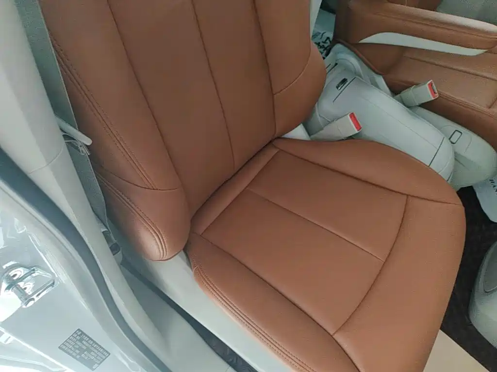 Buick GL8 — миниатюра 25